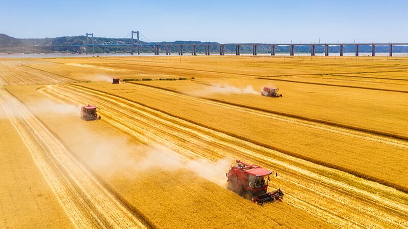 Xi_Jinping_Pledges_to_Keep_People_s_Concerns_in_Mind_in_2025_New_Year_Address__ - News for amigos, by amigos Xi_Jinping_Pledges_to_Keep_People_s_Concerns_in_Mind_in_2025_New_Year_Address__