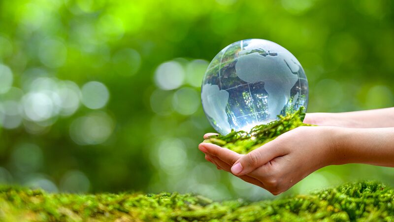 Xi_Jinping_Proposes_2025_as_SCO_Year_of_Sustainable_Development__ - News for amigos, by amigos Xi_Jinping_Proposes_2025_as_SCO_Year_of_Sustainable_Development__