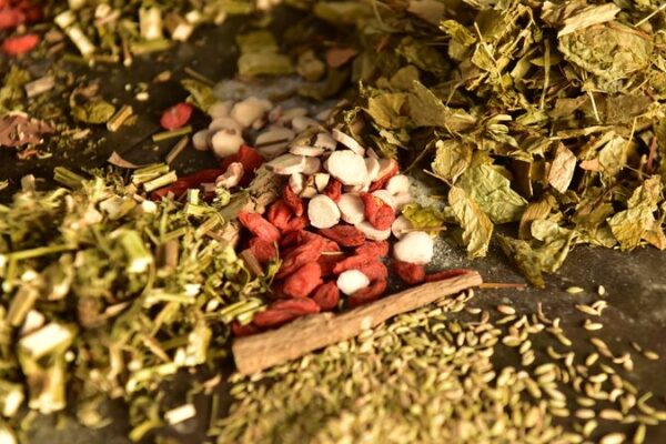 🌿 Xi Jinping: China’s Traditional Medicine Set to Benefit the World __Xi_Jinping__China_s_Traditional_Medicine_Set_to_Benefit_the_World