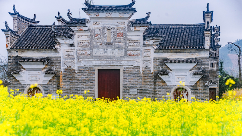 Xiahu_Village_Blossoms__A_Colorful_Spring_Spectacle_in_Jiangxi__ - News for amigos, by amigos Xiahu_Village_Blossoms__A_Colorful_Spring_Spectacle_in_Jiangxi__