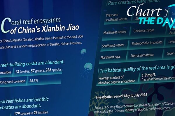 Xianbin Jiao’s Coral Reefs Thrive: New Report Reveals Underwater Paradise 🌊🐠 Xianbin_Jiao_s_Coral_Reefs_Thrive__New_Report_Reveals_Underwater_Paradise___