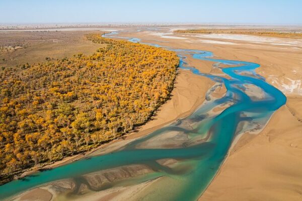 Xinjiang Diverts Floods to Bring Desert Forests Back to Life 🌳 Xinjiang_Diverts_Floods_to_Bring_Desert_Forests_Back_to_Life__