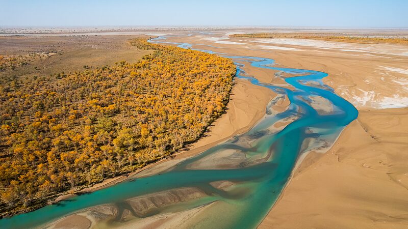 Xinjiang_Diverts_Floods_to_Bring_Desert_Forests_Back_to_Life__ - News for amigos, by amigos Xinjiang_Diverts_Floods_to_Bring_Desert_Forests_Back_to_Life__