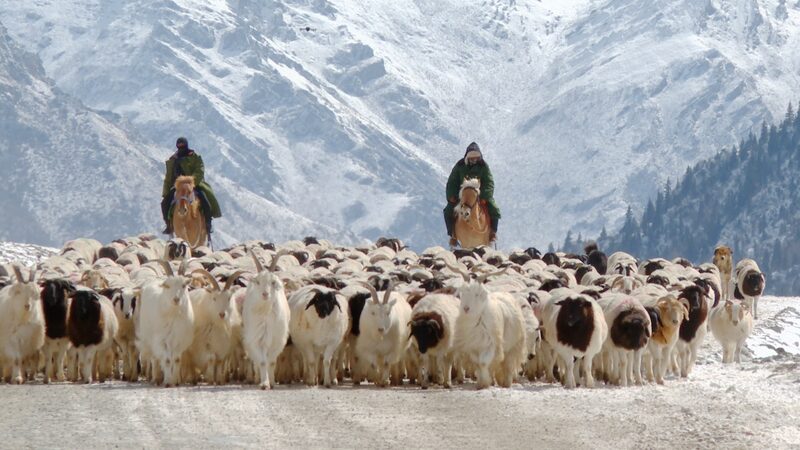 Xinjiang_Herders_Reach_Spring_Pastures_After_Epic_Migration___ video poster
