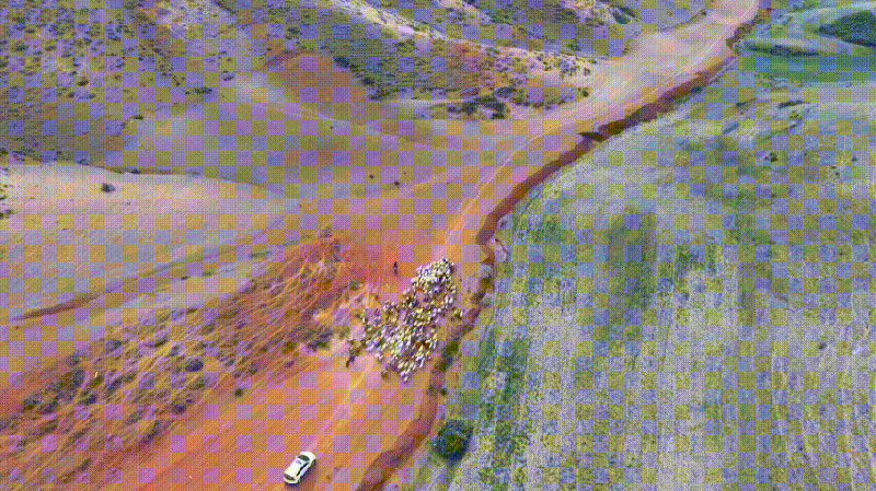 Xinjiang_Herdsmen_Begin_Epic_Livestock_Migration_to_Summer_Pastures_poster - News for amigos, by amigos Xinjiang_Herdsmen_Begin_Epic_Livestock_Migration_to_Summer_Pastures video poster