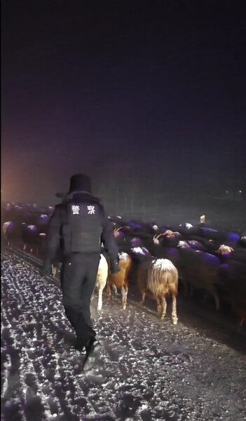Xinjiang_Police_Rescue_Herdsmen_and_1_000_Livestock_from_Snowstorm_poster - News for amigos, by amigos Xinjiang_Police_Rescue_Herdsmen_and_1_000_Livestock_from_Snowstorm video poster