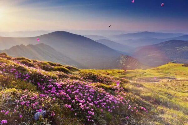 Xinjiang_s_Hidden_Gems__From_Desert_Sands_to_Blooming_Blossoms___ video poster