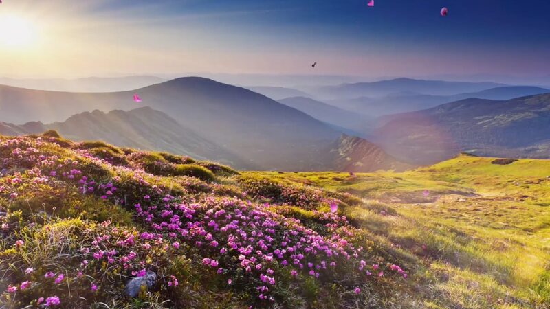 Xinjiang_s_Hidden_Gems__From_Desert_Sands_to_Blooming_Blossoms____poster - News for amigos, by amigos Xinjiang_s_Hidden_Gems__From_Desert_Sands_to_Blooming_Blossoms___ video poster