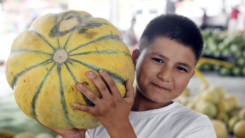 Xinjiang_s_Sweet_Feast_at_the_Foot_of_the_Tianshan_Mountains - News for amigos, by amigos Xinjiang_s_Sweet_Feast_at_the_Foot_of_the_Tianshan_Mountains