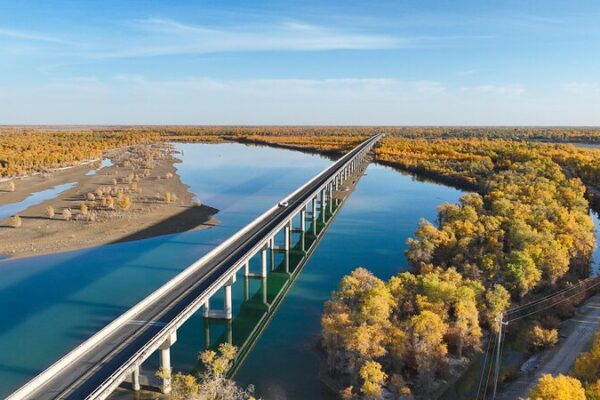 Xinjiang’s Tarim River Transforms into a Golden Wonderland 🌲✨ Xinjiang_s_Tarim_River_Transforms_into_a_Golden_Wonderland___