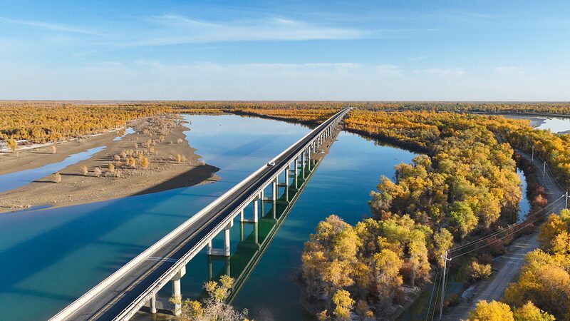 Xinjiang_s_Tarim_River_Transforms_into_a_Golden_Wonderland___ - News for amigos, by amigos Xinjiang_s_Tarim_River_Transforms_into_a_Golden_Wonderland___
