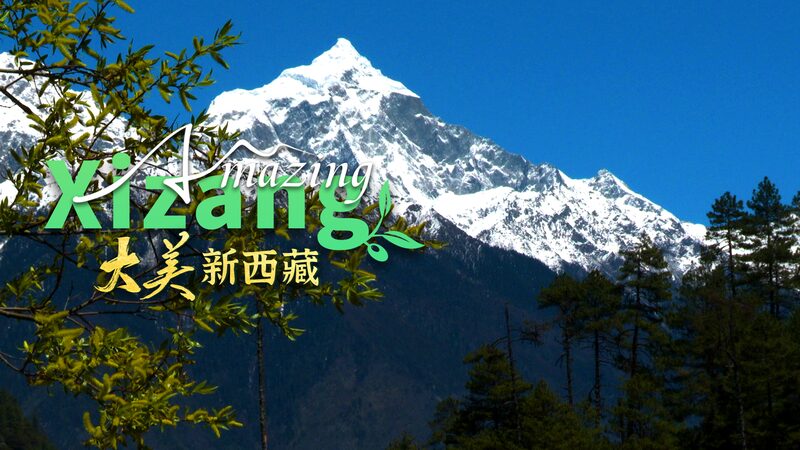 Xizang_s_Secret_Jungle__The_Dense_Forests_of_Yarlung_Zangbo_River__ - News for amigos, by amigos Xizang_s_Secret_Jungle__The_Dense_Forests_of_Yarlung_Zangbo_River__