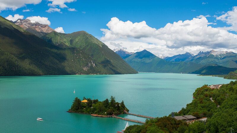 Xizang_s_Wild_Eco_Success__Antelopes_Bounce_Back____