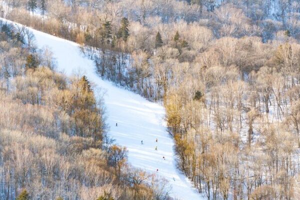 Yabuli Hosts Epic Snowboard Test Ahead of 2025 Asian Winter Games Yabuli_Hosts_Epic_Snowboard_Test_Ahead_of_2025_Asian_Winter_Games video poster