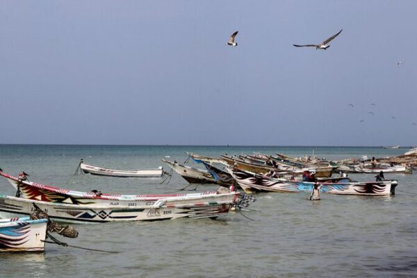Yemen Sounds the Alarm: Preventing Red Sea Eco-Disaster after Houthi Ship Attack Yemen_Sounds_the_Alarm__Preventing_Red_Sea_Eco_Disaster_after_Houthi_Ship_Attack