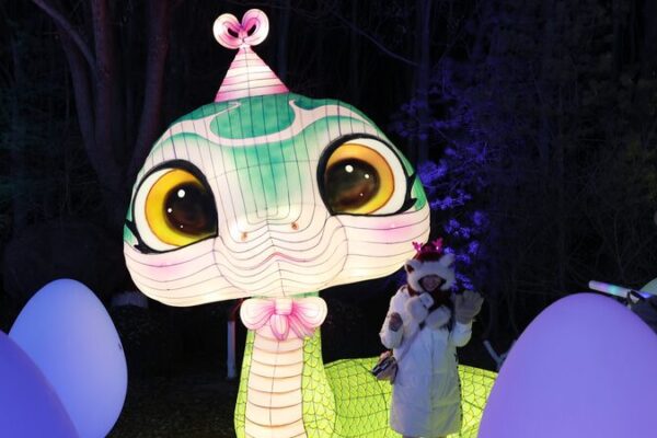 Yinchuan Lantern Festival Lights Up Year of the Snake with Over 100 Dazzling Displays 🎆🐍 Yinchuan_Lantern_Festival_Lights_Up_Year_of_the_Snake_with_Over_100_Dazzling_Displays___