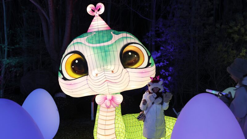 Yinchuan_Lantern_Festival_Lights_Up_Year_of_the_Snake_with_Over_100_Dazzling_Displays___ - News for amigos, by amigos Yinchuan_Lantern_Festival_Lights_Up_Year_of_the_Snake_with_Over_100_Dazzling_Displays___