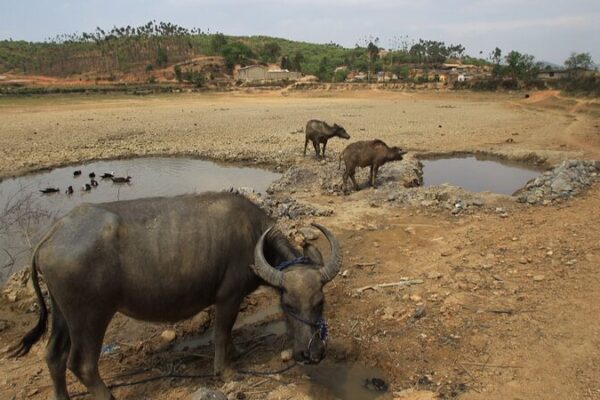 Yunnan_Faces_Drought_Again__Measures_Taken_to_Ensure_Water_Supply__