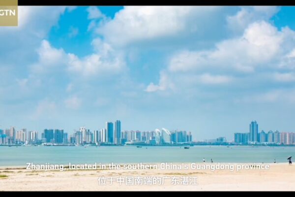 Zhanjiang’s Mangrove Magic: Aquaculture Meets Ecology 🌿🐟 Zhanjiang_s_Mangrove_Magic__Aquaculture_Meets_Ecology___ video poster