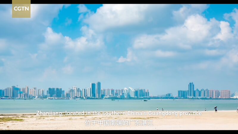 Zhanjiang_s_Mangrove_Magic__Aquaculture_Meets_Ecology___ video poster