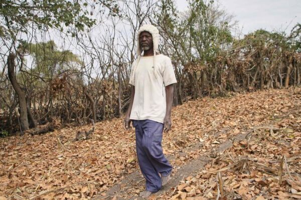 Zimbabwe Ramps Up Food Aid Amid El Niño Drought Crisis Zimbabwe_Ramps_Up_Food_Aid_Amid_El_Nin_o_Drought_Crisis
