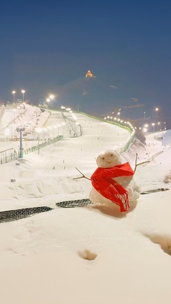 AI Meets Winter: Building Snowmen for the 9th Asian Winter Games ❄️⛄ AI_Meets_Winter__Building_Snowmen_for_the_9th_Asian_Winter_Games____ video poster