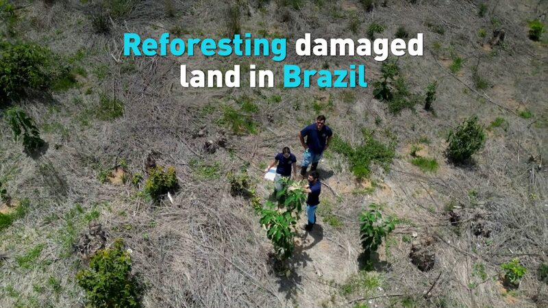 Brazil_Commits_to_Reforest_the_Amazon_at_Latest_UN_Climate_Conference__ video poster