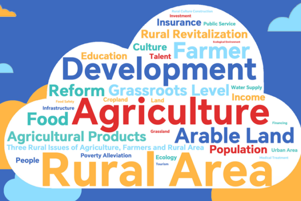 China Unveils 2025 Plan to Boost Rural Development 🌾 China_Unveils_2025_Plan_to_Boost_Rural_Development__