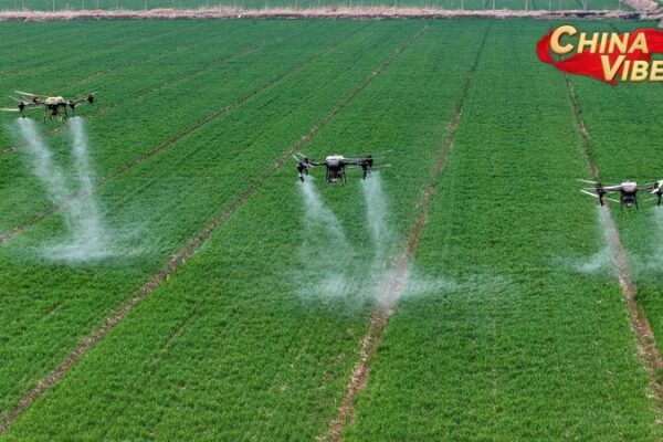 China Unveils Ambitious 2025 Blueprint for Rural Revitalization China_Unveils_Ambitious_2025_Blueprint_for_Rural_Revitalization
