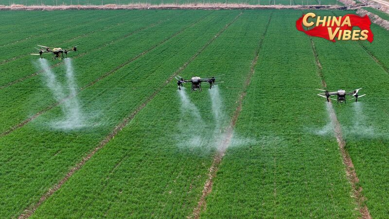 China_Unveils_Ambitious_2025_Blueprint_for_Rural_Revitalization