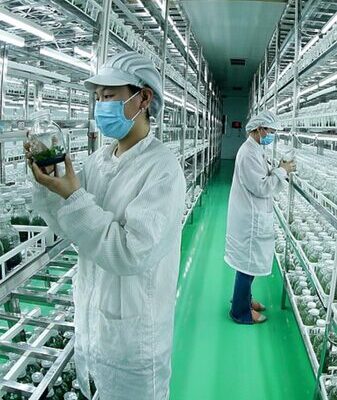 China_Unveils_New_Agricultural_Boost_in_Top_Central_Document___ video poster