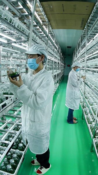 China_Unveils_New_Agricultural_Boost_in_Top_Central_Document___ video poster