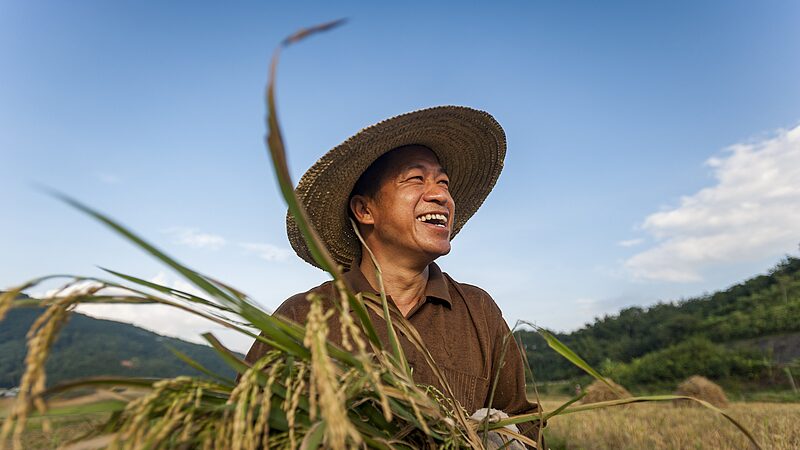 China_Unveils__No__1_Document__to_Boost_Rural_Revitalization_in_2025 - News for amigos, by amigos China_Unveils__No__1_Document__to_Boost_Rural_Revitalization_in_2025