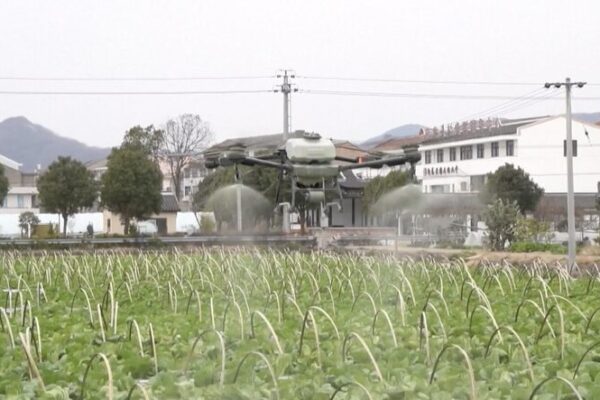 Drones Revolutionize Chinese Agriculture with Advanced Remote Monitoring 🚀🌾 Drones_Revolutionize_Chinese_Agriculture_with_Advanced_Remote_Monitoring___ video poster