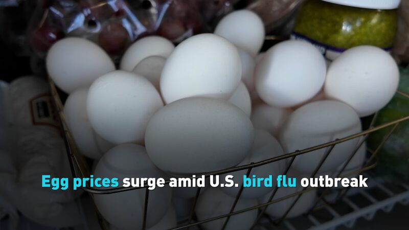 Eggflation__U_S__Egg_Prices_Soar_Amid_Bird_Flu_Outbreak___ video poster