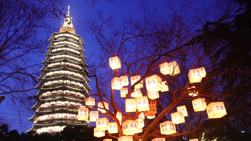 Enchanting__Blessing_Trees__Illuminate_Changzhou_s_Hongmei_Park - News for amigos, by amigos Enchanting__Blessing_Trees__Illuminate_Changzhou_s_Hongmei_Park