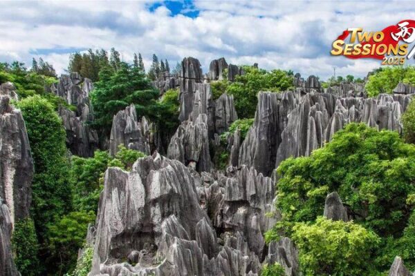Explore Shenjian Stone Forest Live: Guangxi’s Magical Karst Wonderland 🌄 Explore_Shenjian_Stone_Forest_Live__Guangxi_s_Magical_Karst_Wonderland__ video poster