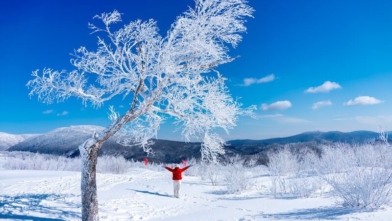 Explore_Yangcao_Mountain__The_Snowy_Gem_of_China_Snow_Town____ - News for amigos, by amigos Explore_Yangcao_Mountain__The_Snowy_Gem_of_China_Snow_Town____