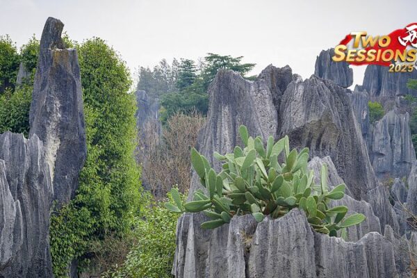Explore the Enchanting Shenjian Stone Forest in Guangxi 🌄✨ Explore_the_Enchanting_Shenjian_Stone_Forest_in_Guangxi___ video poster