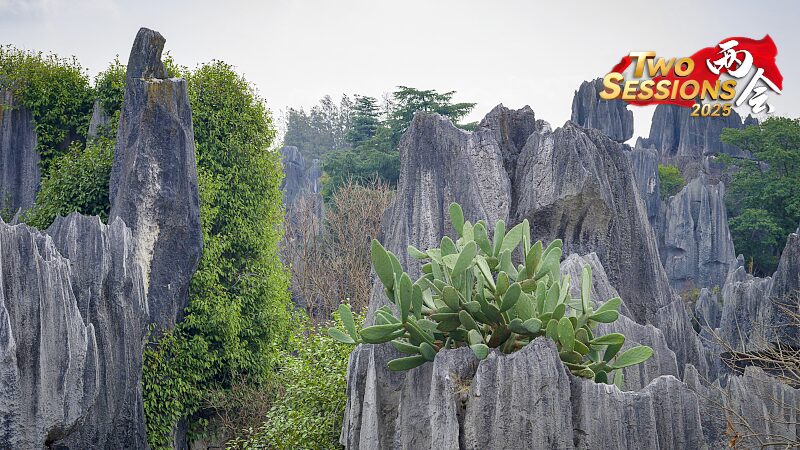 Explore_the_Enchanting_Shenjian_Stone_Forest_in_Guangxi____poster-1 - News for amigos, by amigos Explore_the_Enchanting_Shenjian_Stone_Forest_in_Guangxi___ video poster