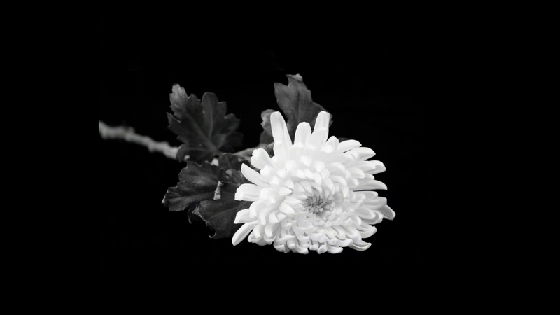 Farewell_to_Zou_Jiahua__Former_Chinese_Vice_Premier_Cremated_in_Beijing - News for amigos, by amigos Farewell_to_Zou_Jiahua__Former_Chinese_Vice_Premier_Cremated_in_Beijing