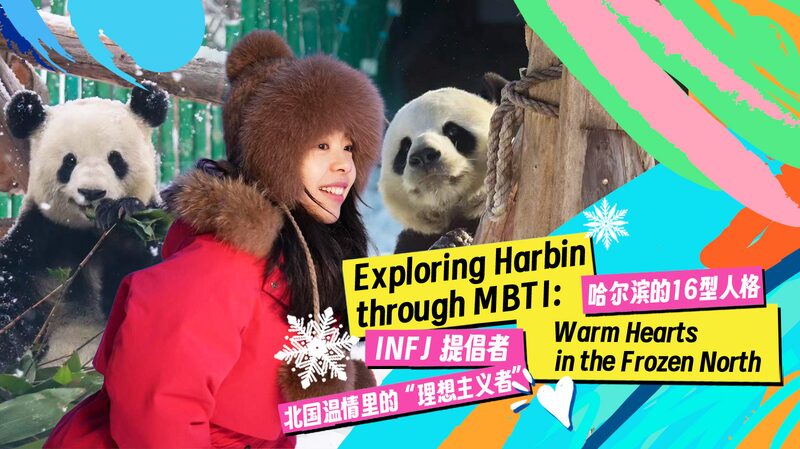 Harbin_s_Warm_Hearts__Pandas_Thrive_in_China_s_Coldest_Panda_House____ video poster