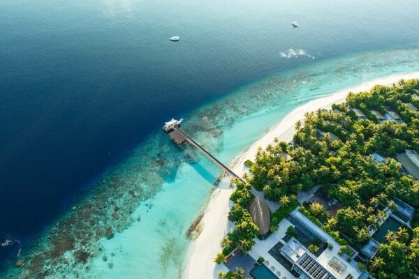 Maldives to Plant 2 Million Trees by 2025 in Climate Initiative 🌱 Maldives_to_Plant_2_Million_Trees_by_2025_in_Climate_Initiative__