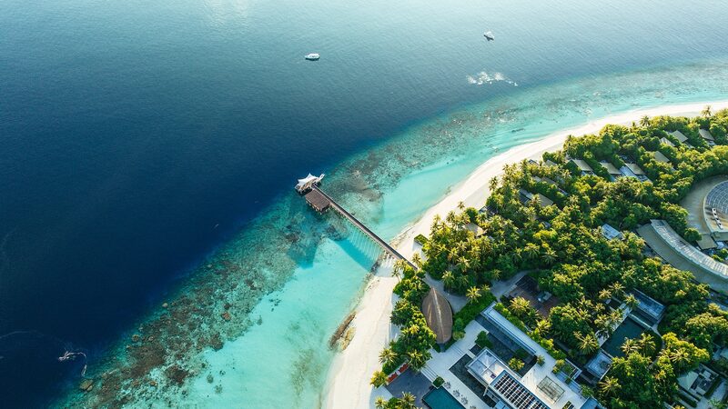 Maldives_to_Plant_2_Million_Trees_by_2025_in_Climate_Initiative__