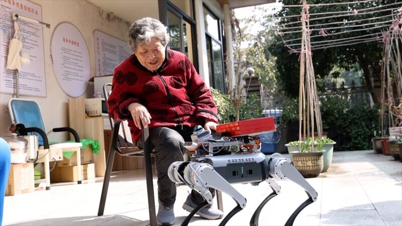 Meet_the_Robot_Dog_Making_Life_Easier_for_Seniors_in_Hangzhou___poster - News for amigos, by amigos Meet_the_Robot_Dog_Making_Life_Easier_for_Seniors_in_Hangzhou__ video poster