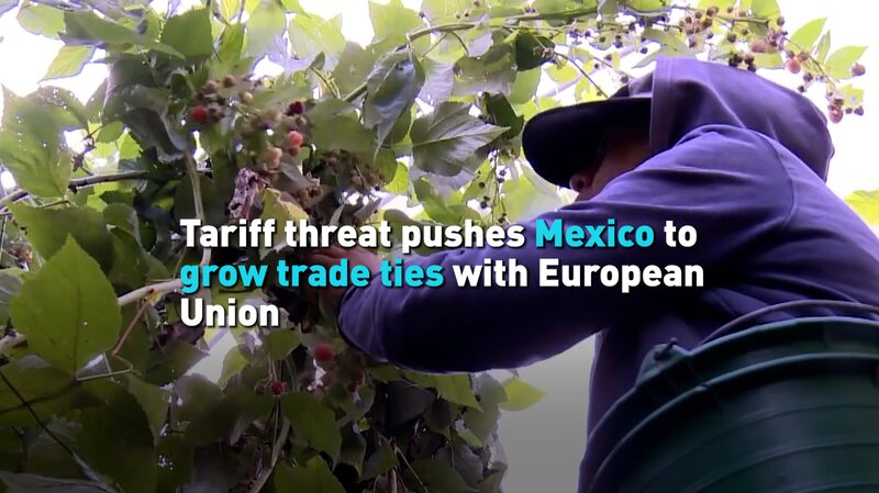 Mexico Strengthens EU Trade Ties Amid US Tariff Threats 🚀 Mexico_Strengthens_EU_Trade_Ties_Amid_US_Tariff_Threats__ video poster