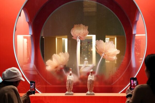 National Museum of China Unveils Vibrant Year of the Snake Exhibition National_Museum_of_China_Unveils_Vibrant_Year_of_the_Snake_Exhibition video poster