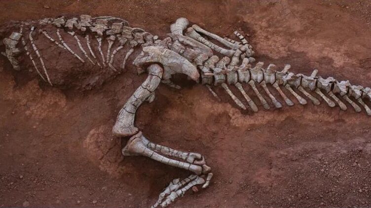 New_Dinosaur_Species_Discovered_in_China_s_Yunnan_Province___ - News for amigos, by amigos New_Dinosaur_Species_Discovered_in_China_s_Yunnan_Province___