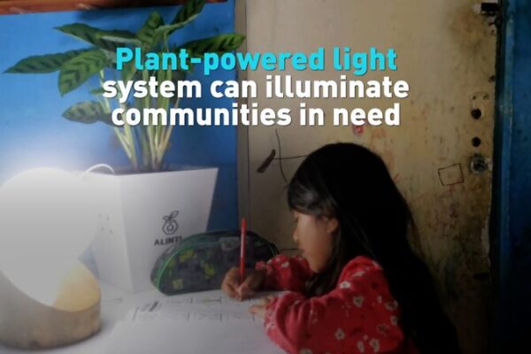 🌱✨ Plant-Powered Lights Illuminate Peruvian Communities ___Plant_Powered_Lights_Illuminate_Peruvian_Communities video poster
