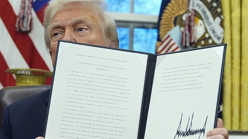 US Steel and Aluminum Tariffs: Boost or Bust for Domestic Production? US_Steel_and_Aluminum_Tariffs__Boost_or_Bust_for_Domestic_Production_ video poster